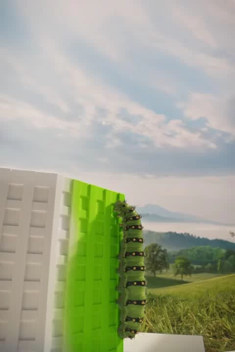 Plakat der ewz-Kampagne 100/100 in einer grünen Landschaft