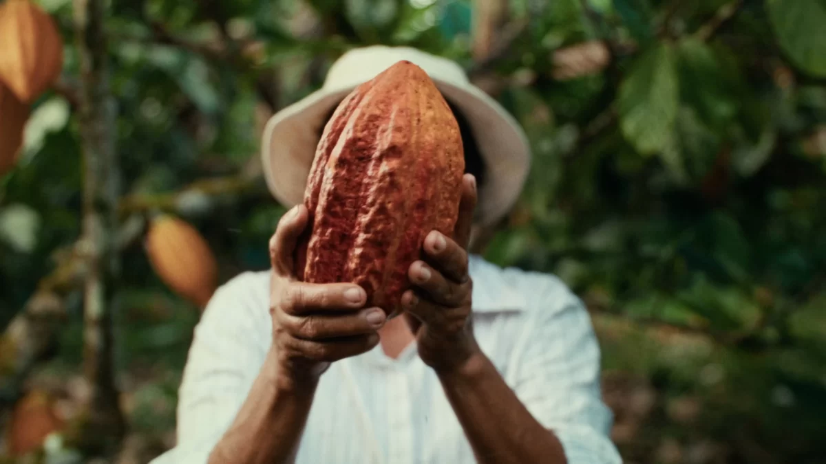 The joy of fresh chocolate